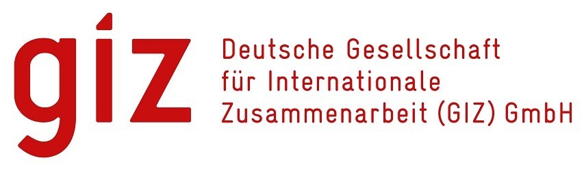 GIZ logo